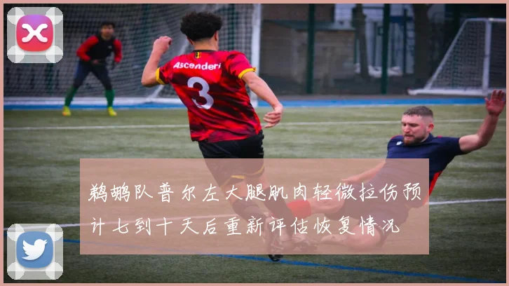 鹈鹕队普尔左大腿肌肉轻微拉伤预计七到十天后重新评估恢复情况