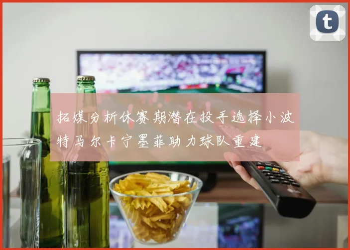 拓媒分析休赛期潜在投手选择小波特马尔卡宁墨菲助力球队重建