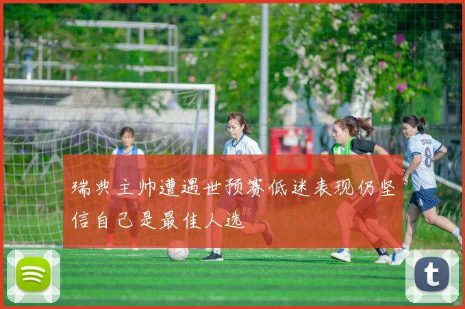瑞典主帅遭遇世预赛低迷表现仍坚信自己是最佳人选