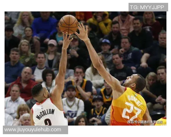 冷知识揭秘：独行侠四位球员的双胞胎兄弟姐妹关系分析